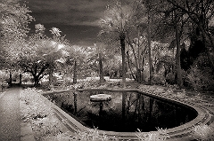 Tom's Fountain 2